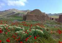 Bagh Keshmir Protected Area