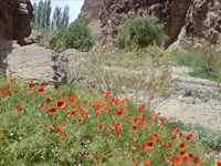 روستای خوشاب
