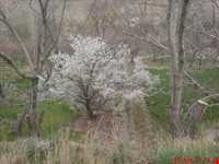 روستای خوشاب