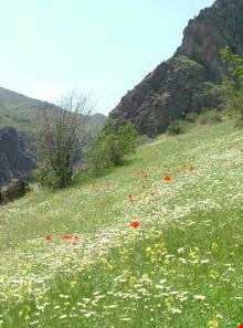 منطقه شکار ممنوع دربند مشکول