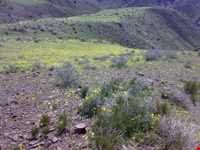 منطقه شکار ممنوع دربند مشکول