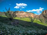 منطقه شکار ممنوع دربند مشکول