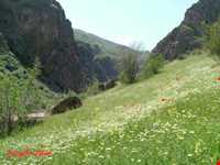 منطقه شکار ممنوع دربند مشکول