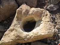 Boroueieh nature reserve