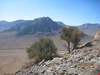 Boroueieh nature reserve