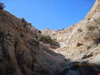 Boroueieh nature reserve