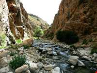 Gambil canyon