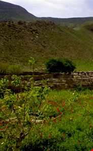 روستای پیر وحش