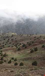 روستای رونج