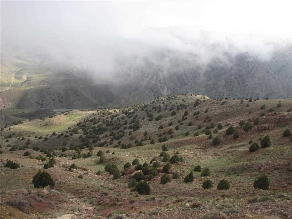 روستای رونج