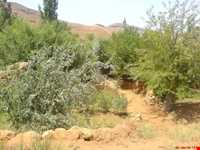 روستای رونج