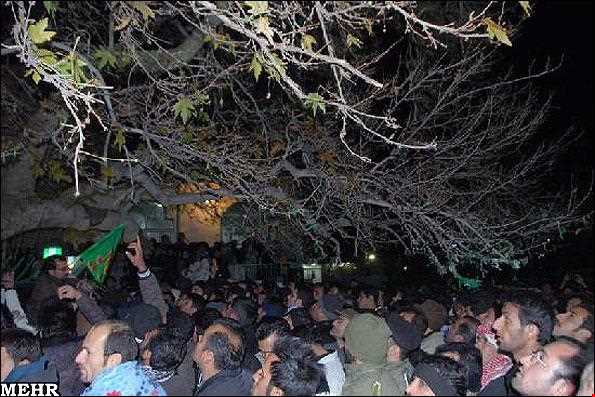 درخت خونبار زرآباد