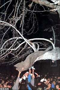 درخت خونبار زرآباد