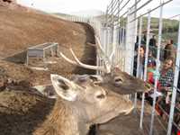 دهکده حیات طبیعت قزوین