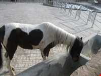 دهکده حیات طبیعت قزوین