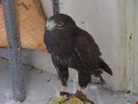 دهکده حیات طبیعت قزوین