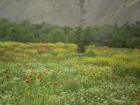 Shervine Tourism Spot