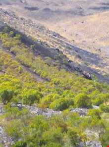 منطقه حفاظت شده لشگردر