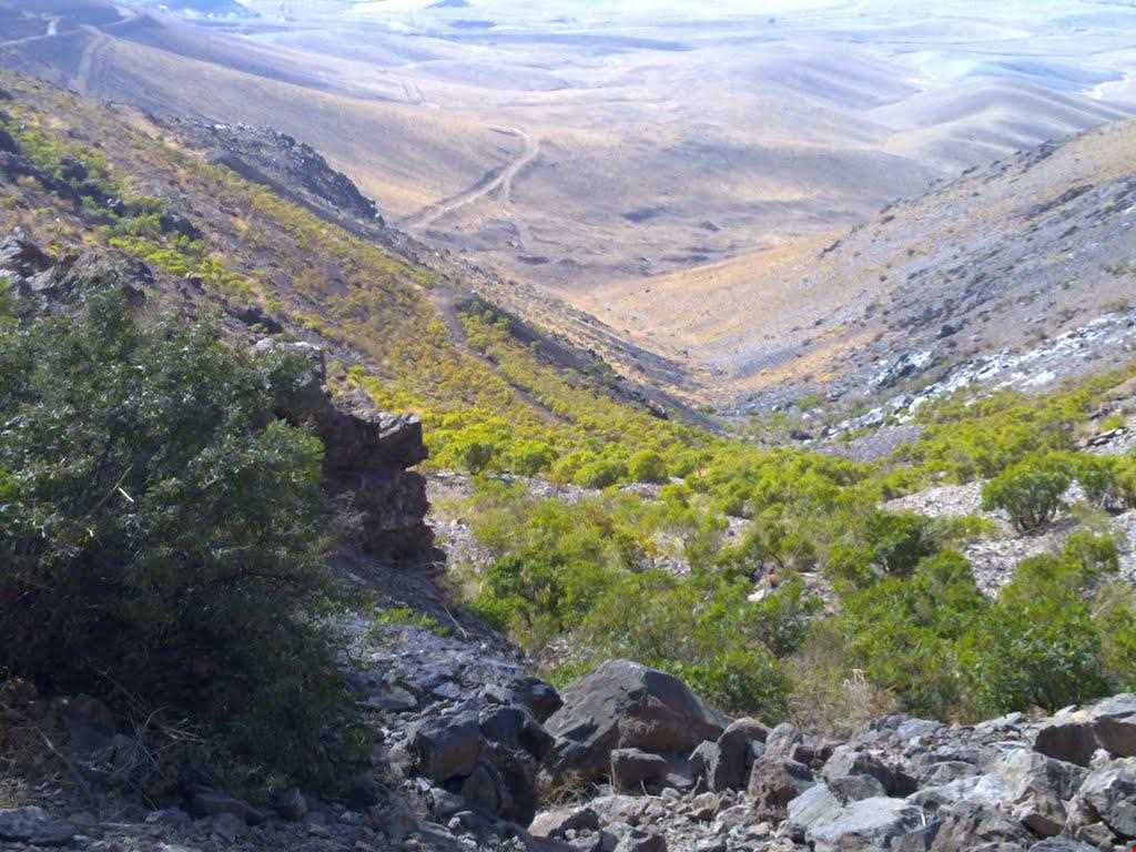 Lashgardar protected area