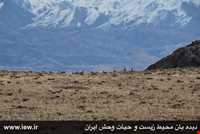 Lashgardar protected area