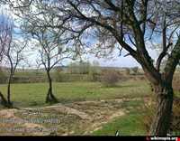 منطقه حفاظت شده شراء