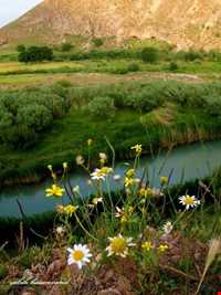 Maloosan protected area