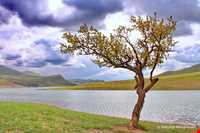 Taham Lake