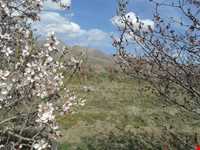 روستای چرگر