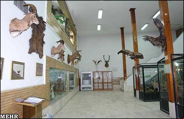Natural History Museum Zanjan
