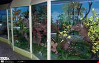 Natural History Museum Zanjan