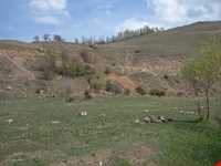 چشمه علی بلاغی