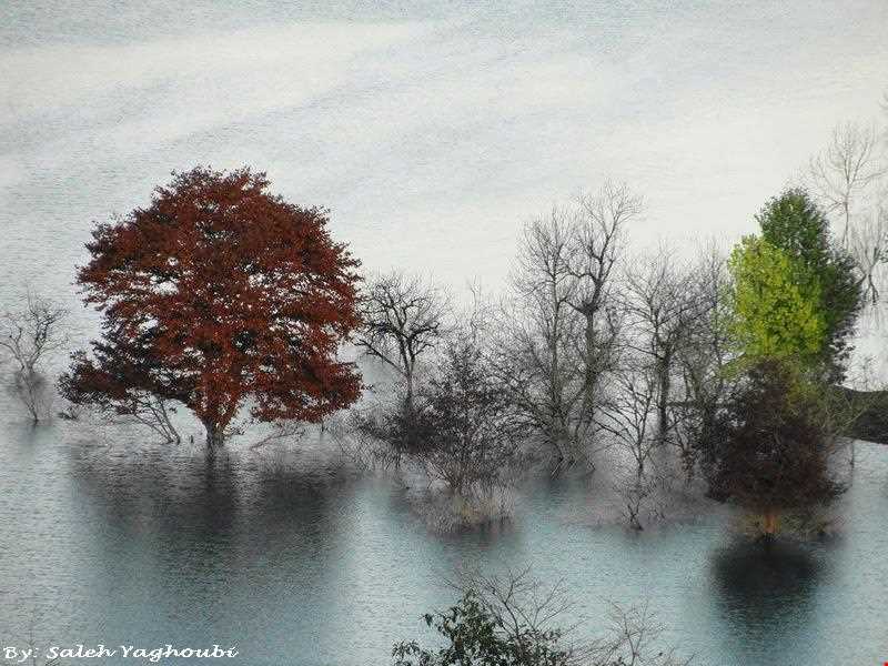 سد البرز ( لفور )