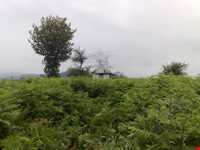 سد البرز ( لفور )