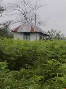 Lafoor hunting prohibited region