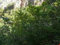 روستای لیما