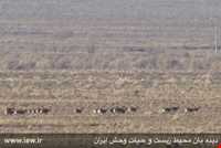 منطقه حفاظت شده رئیسی