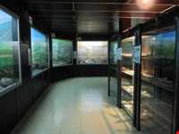 موزه تاریخ طبیعی کبودوال