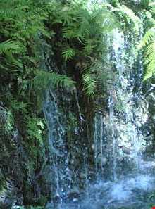 روستای ثریا