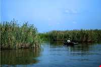 تالاب انزلی