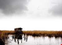 تالاب انزلی