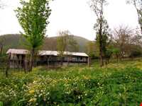 روستای بلاچلی