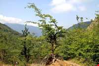 روستای بلاچلی