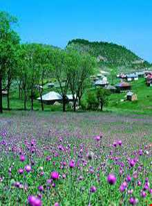 روستای جهان نما