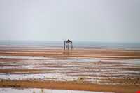 جزیره تهمادو