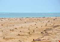 جزیره تهمادو