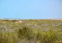 جزیره تهمادو