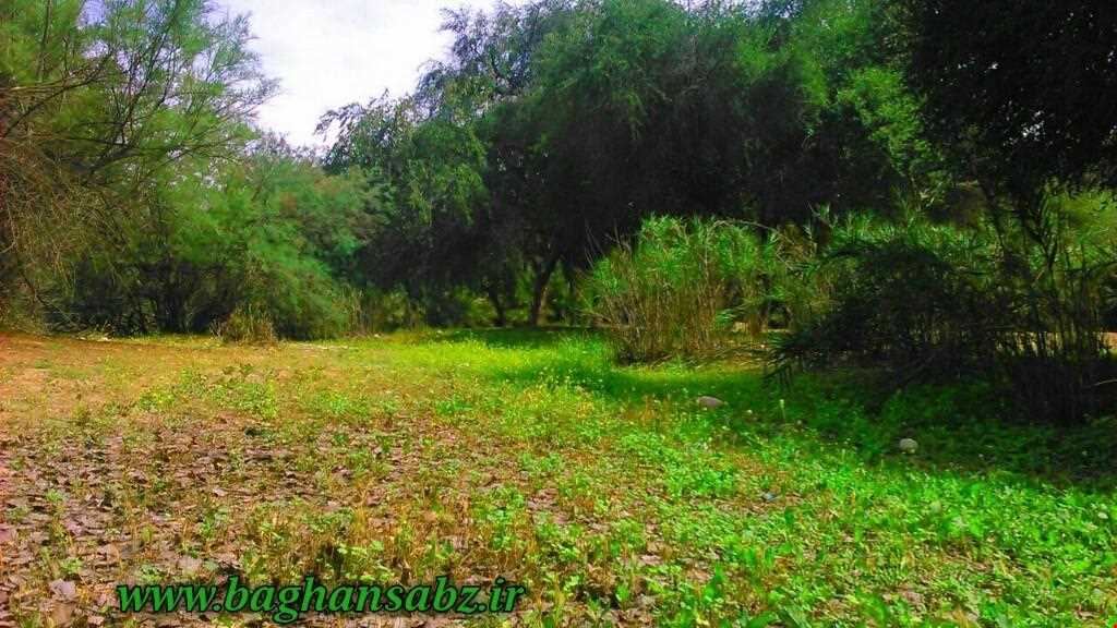 روستای باغان