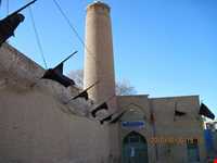 مسجد جامع شش ناو ( ششناو )