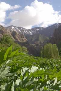 آبشار لالون