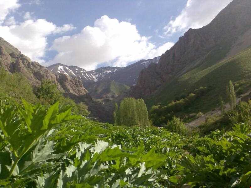 آبشار لالون